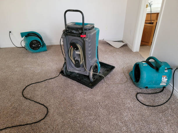 Best Water damage contractors near me  in Beebe, AR
