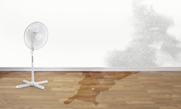 , AR Water damage restoration Company