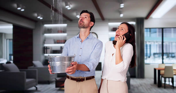 Best Fire Damage Restoration  in Beebe, AR